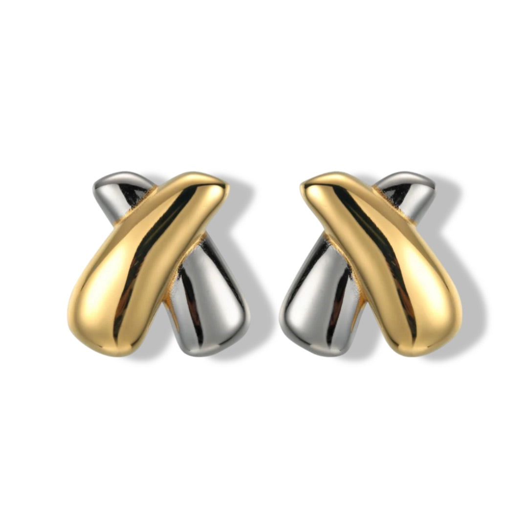 Duo Twist Earrings